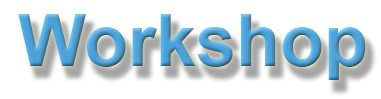 ws1a